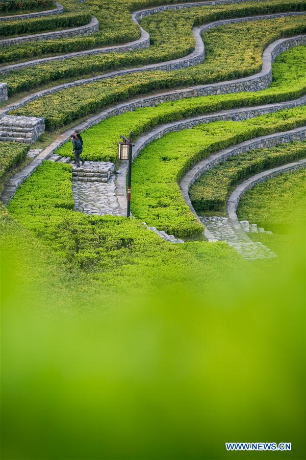 #CHINA-SPRING-SCENERY(CN)