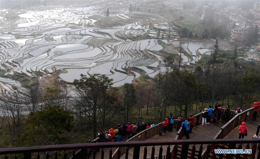 CHINA-YUNNAN-HANI TERRACED FIELDS-VIEWS (CN)