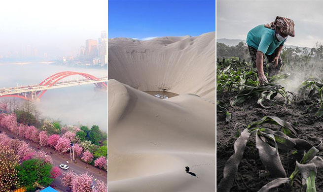 Weekly choices of Xinhua photo