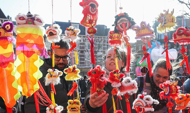 Activities featuring Chinese culture held to celebrate Chinese Lunar New Year in Netherlands