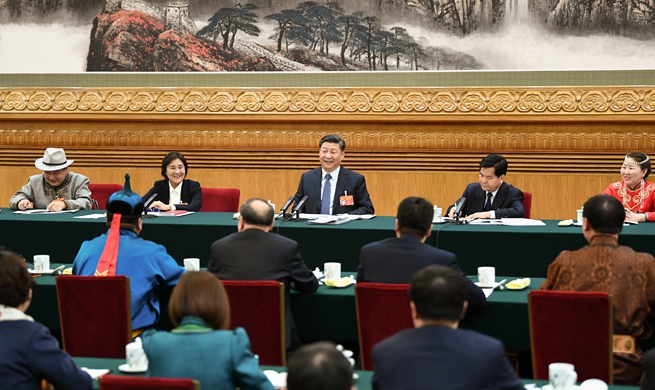 Xi stresses strategic resolve in enhancing building of ecological civilization