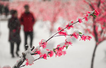 Heavy snowfall hits NE China's Jilin Province