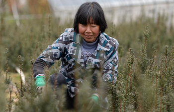 Farmers busy with farm work on day of "Jingzhe"