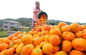 China embraces autumn harvest