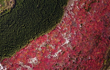 Autumn scenery in Jinan, E China's Shandong