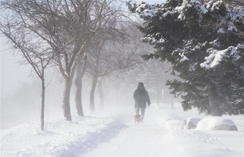 Winter storm hits Toronto, Canada