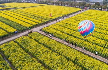 Cole flower tourism festival kicks off in Huzhou, east China's Zhejiang