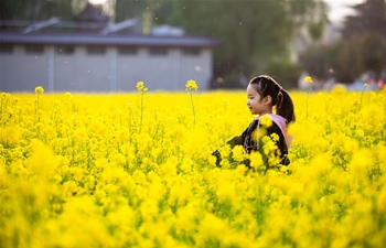 People enjoy cole flower scenery in China's Hebei