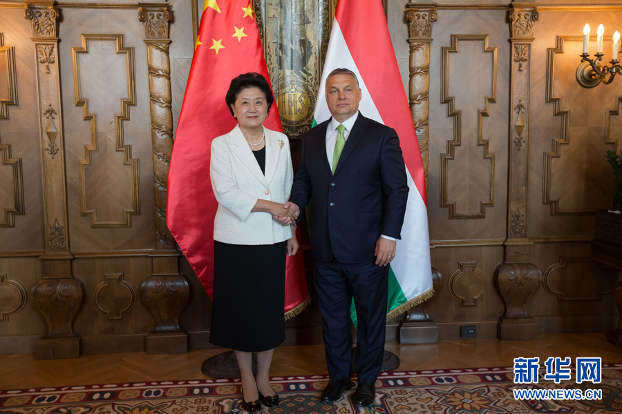  6月21日，國務(wù)院副總理劉延?xùn)|（左）在匈牙利布達(dá)佩斯國會大廈會見匈牙利總理歐爾班。 新華社發(fā)（弗爾季·奧蒂洛攝）