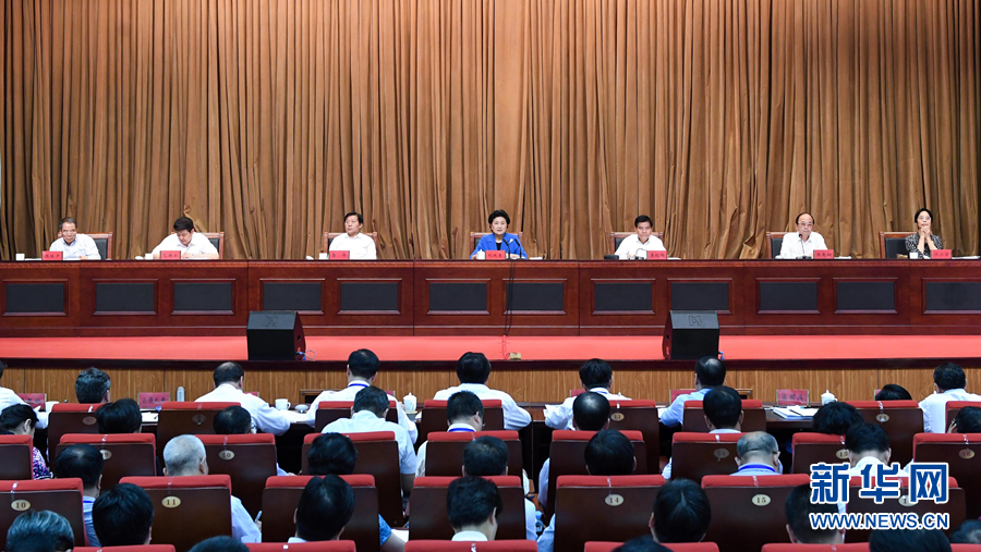 6月25日，全國民族團結(jié)進(jìn)步創(chuàng)建經(jīng)驗交流現(xiàn)場會在內(nèi)蒙古興安盟召開，中共中央政治局委員、國務(wù)院副總理劉延?xùn)|出席會議并講話。 新華社記者 陳曄華 攝