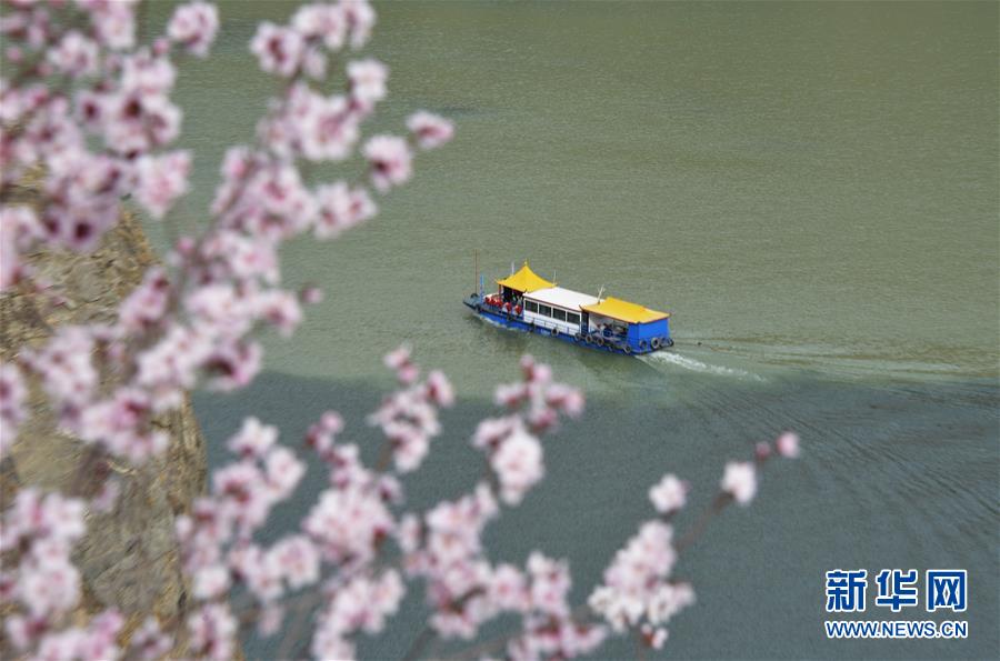 #（春季美麗生態(tài)）（2）花開劉家峽