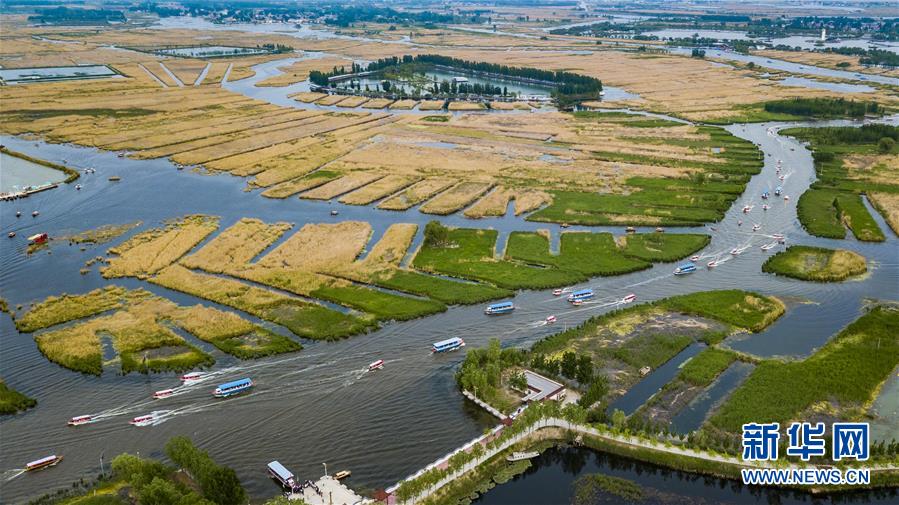 （壯闊東方潮 奮進新時代——慶祝改革開放40年）（11）美麗中華大地書寫綠色傳奇