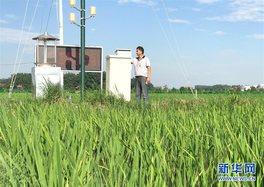 （新華全媒頭條·圖文互動(dòng)）（4）最年輕的節(jié)日 最悠久的牽念——寫給首個(gè)中國(guó)農(nóng)民豐收節(jié)