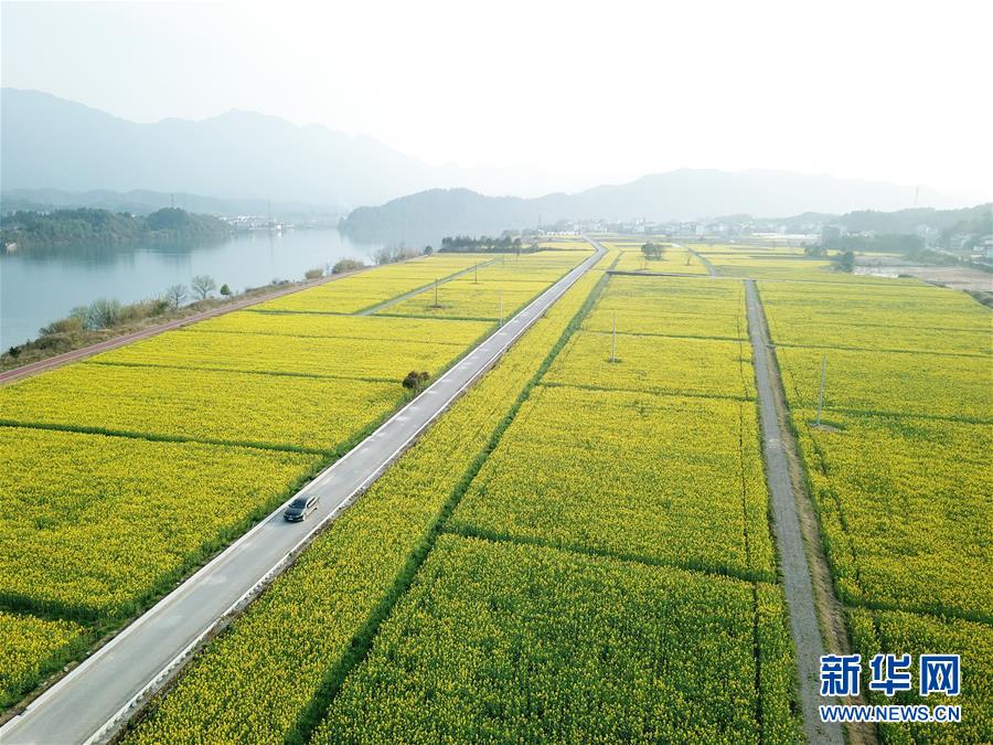 （新華全媒頭條·兩會精神看落實·圖文互動）（4）保持戰(zhàn)略定力 跨越重要關(guān)口——落實兩會精神加強生態(tài)文明建設(shè)述評