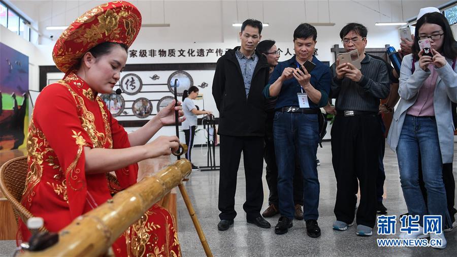 （壯麗70年 奮斗新時代——推動高質(zhì)量發(fā)展調(diào)研行·圖文互動）（6）近海能看鯨魚白海豚，廣西這片濱海旅游勝地啥來頭？