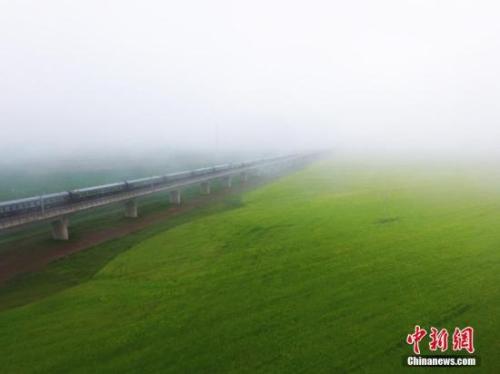 資料圖：動(dòng)車組穿越雨霧中的油菜花海宛若穿越時(shí)空。 楊艷敏 攝