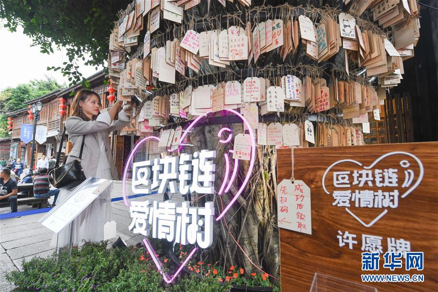 （新華全媒頭條·圖文互動(dòng)）（9）從“數(shù)字中國”看中國發(fā)展新信號(hào)、新亮點(diǎn)、新趨勢