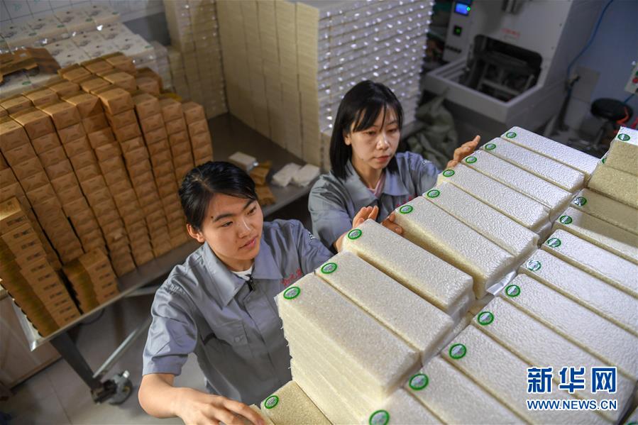 （在習(xí)近平新時(shí)代中國特色社會主義思想指引下——新時(shí)代新作為新篇章·圖文互動(dòng)）（7）大學(xué)生種田讓農(nóng)民“老把式”開了眼——吉林長白山下的稻田新事
