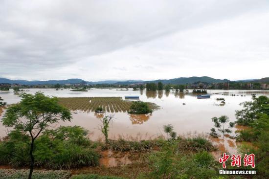 資料圖：湖南省臨武縣武水鎮(zhèn)、南強(qiáng)鎮(zhèn)、汾市鎮(zhèn)、水東鎮(zhèn)、金江鎮(zhèn)等鄉(xiāng)鎮(zhèn)遭遇特大暴雨襲擊，導(dǎo)致大量民房和農(nóng)田被淹。據(jù)不完全統(tǒng)計(jì)，該縣數(shù)千戶(hù)民房被淹，數(shù)十萬(wàn)畝農(nóng)田、果園、煙田被淹斷收，直接經(jīng)濟(jì)損失達(dá)數(shù)千萬(wàn)元。災(zāi)情發(fā)生后，當(dāng)?shù)卣跋嚓P(guān)部門(mén)第一時(shí)間奔赴受災(zāi)鄉(xiāng)鎮(zhèn)轉(zhuǎn)移群眾，察看災(zāi)情并積極組織村民排澇自救、發(fā)放救災(zāi)物資、開(kāi)展保險(xiǎn)理賠等工作。目前救災(zāi)工作正在有序進(jìn)行，無(wú)人員傷亡。唐盛歡 攝