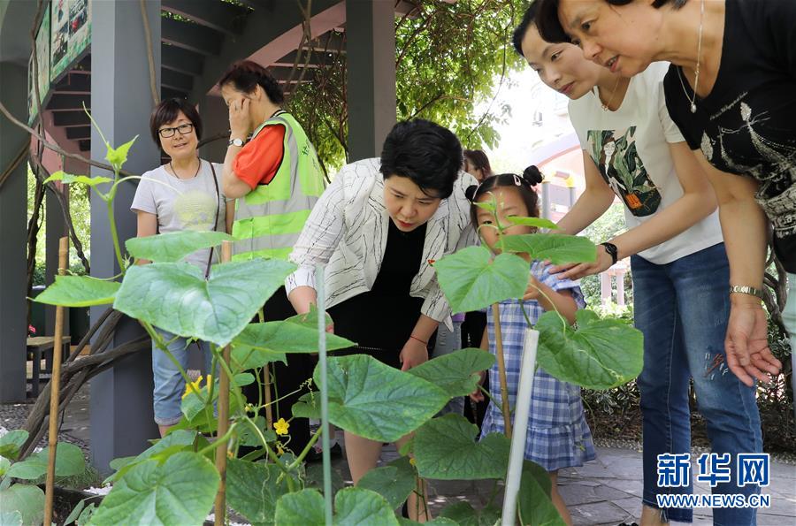 （新華全媒頭條·圖文互動）（4）上海“新時尚”：用“繡花功”解垃圾分類“大難題”