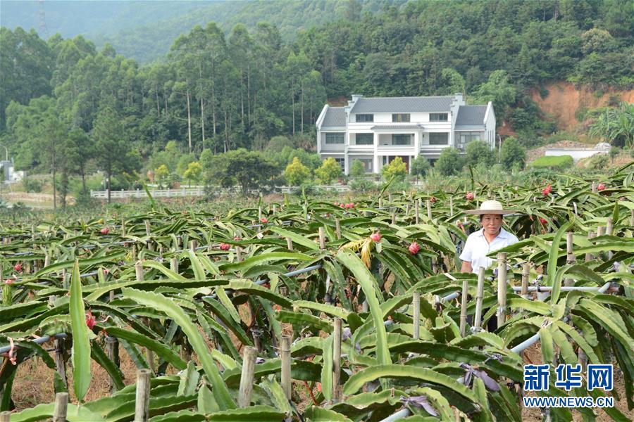 （在習(xí)近平新時(shí)代中國(guó)特色社會(huì)主義思想指引下——新時(shí)代新作為新篇章·總書記關(guān)心的百姓身邊事·圖文互動(dòng)）（6）大污染變身“大寶藏”：治理畜禽糞污，他們這樣干！