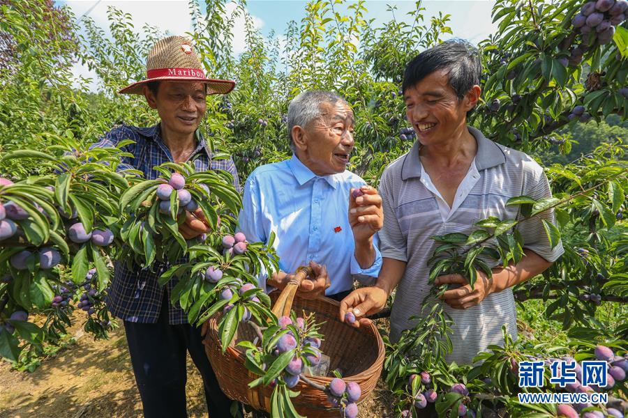 （新華全媒頭條·圖文互動）（1）凝聚民族復(fù)興的精神偉力——以習近平同志為核心的黨中央重視思想道德建設(shè)關(guān)心關(guān)愛道德模范紀實