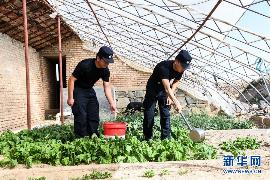 （愛(ài)國(guó)情 奮斗者·圖文互動(dòng)）（5）印刻在戈壁上的名字