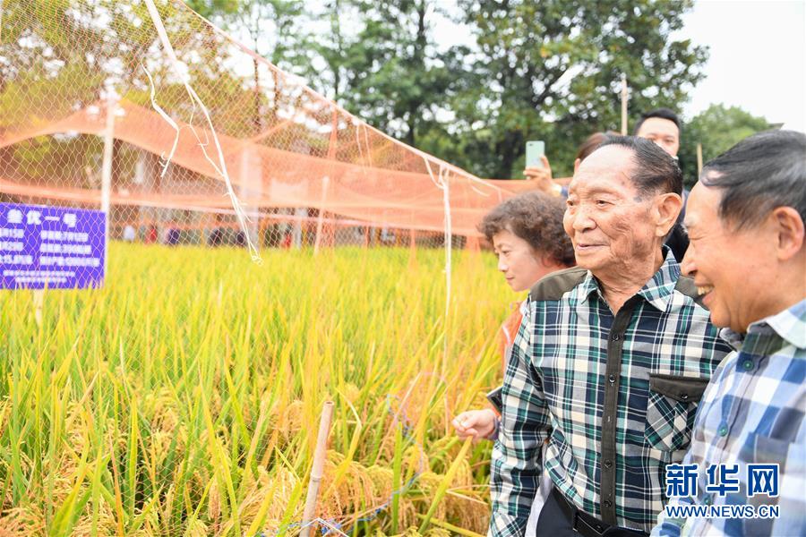 （圖文互動）（4）1046.3公斤！袁隆平第三代雜交水稻首次公開測產(chǎn)