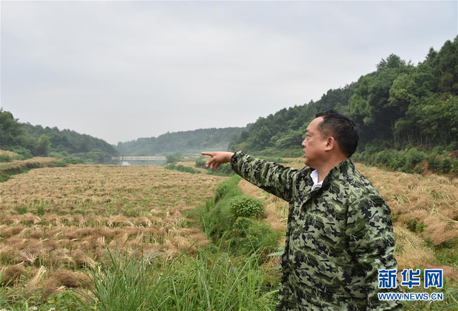 （代表委員履職·圖文互動(dòng)）（2）“我是農(nóng)民代表，始終關(guān)注農(nóng)村”——全國人大代表沈昌健的履職故事