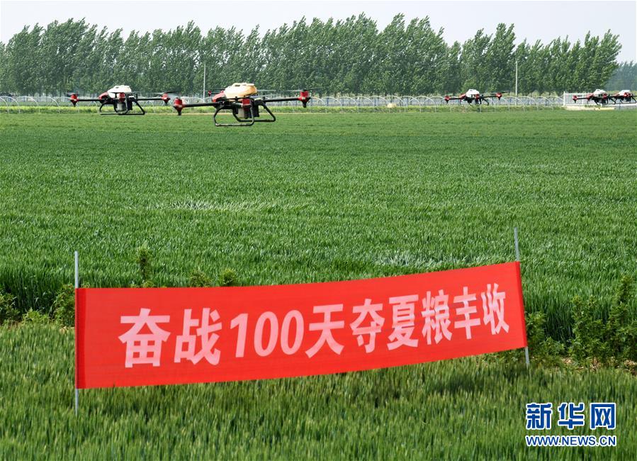 （在習(xí)近平新時代中國特色社會主義思想指引下——新時代新作為新篇章·習(xí)近平總書記關(guān)切事·圖文互動）（9）新農(nóng)事、新希望——夏收前田間新動態(tài)掃描