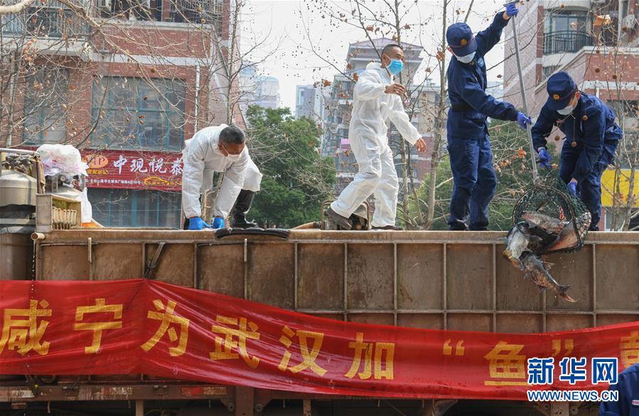 （新華全媒頭條·圖文互動）（12）從人民中汲取磅礴力量——習(xí)近平總書記同出席2020年全國兩會人大代表、政協(xié)委員共商國是紀(jì)實