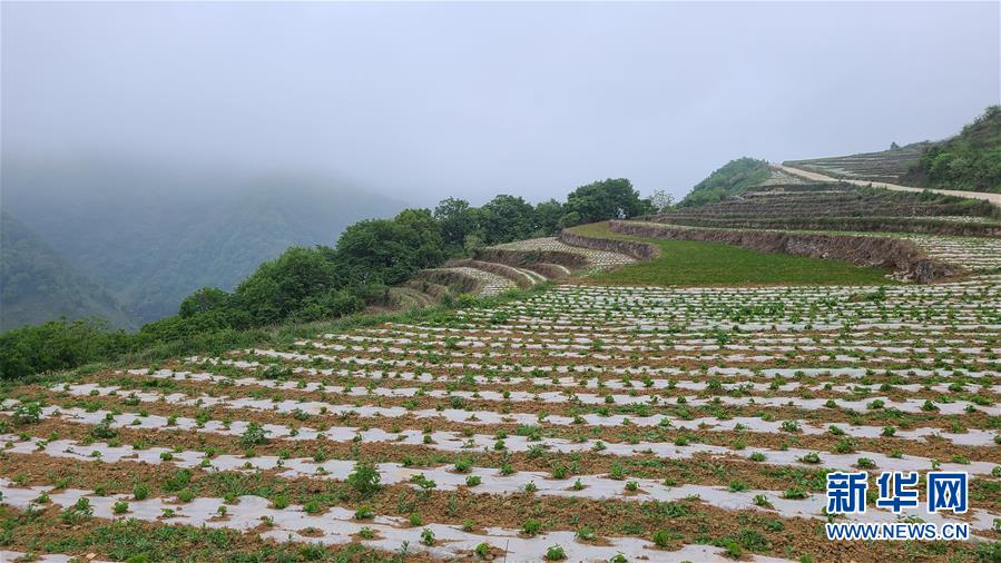 （決戰(zhàn)決勝脫貧攻堅(jiān)·圖文互動(dòng)）（3）喚醒“沉睡的大山”——“經(jīng)營(yíng)鄉(xiāng)村”讓烏蒙山極貧鄉(xiāng)變了“模樣”