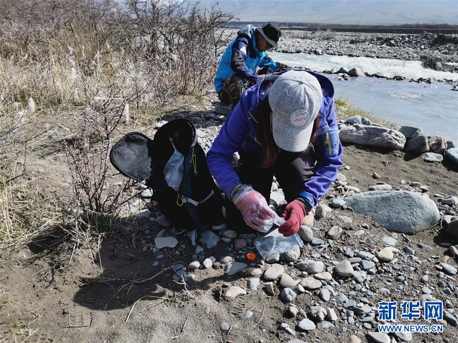 （圖文互動(dòng)）（2）祁連山國(guó)家公園首個(gè)荒漠貓專項(xiàng)調(diào)查取得階段性成果