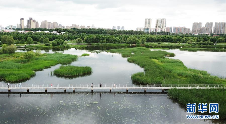 （走向我們的小康生活·圖文互動）（1）水清、地綠、空氣新——最北省份黑龍江繪就生態(tài)治理新畫卷