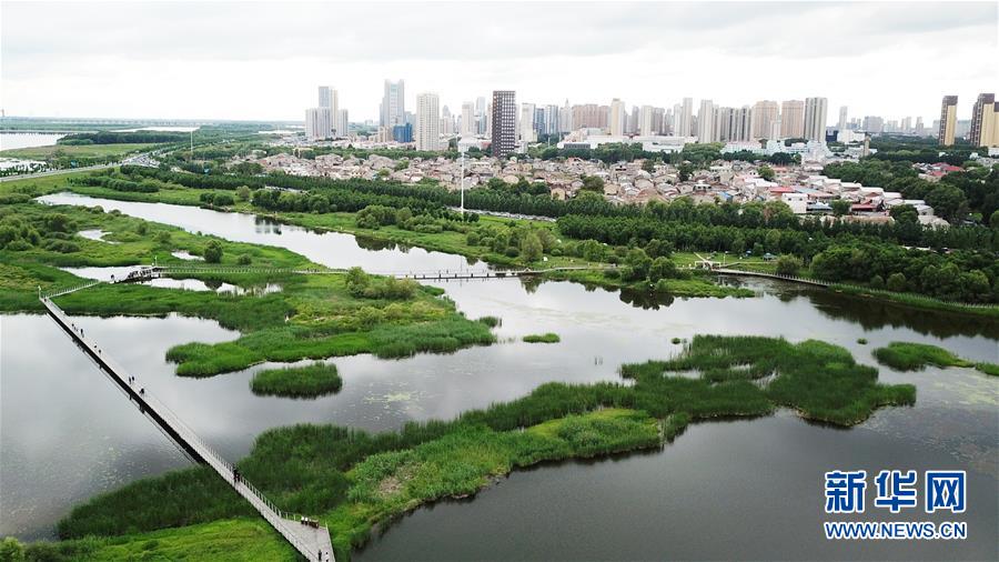 （走向我們的小康生活·圖文互動）（2）水清、地綠、空氣新——最北省份黑龍江繪就生態(tài)治理新畫卷