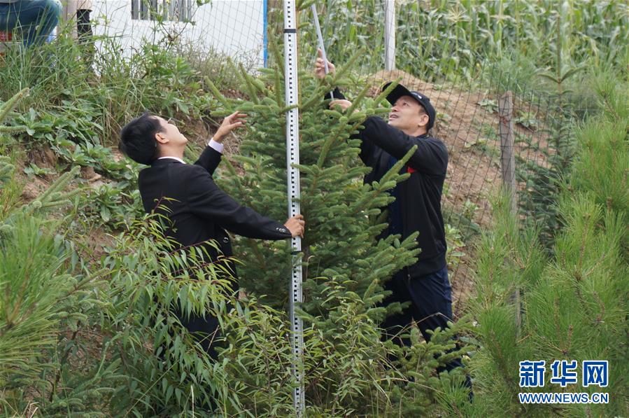 （決戰(zhàn)決勝脫貧攻堅·圖文互動）（2）甘肅定西黃土高坡上，有片“福州林”