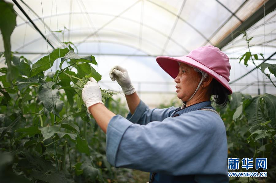 （走向我們的小康生活·決戰(zhàn)決勝脫貧攻堅·圖文互動）（1）麻山突圍記