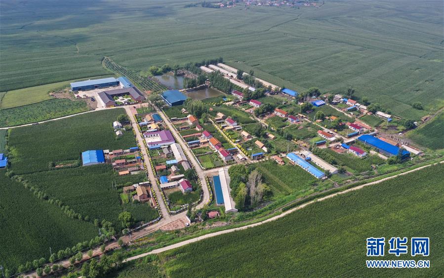 （新華全媒頭條·走向我們的小康生活·圖文互動）（12）黑土地上是我家——在吉林，一瞥中國東北鄉(xiāng)村美麗未來