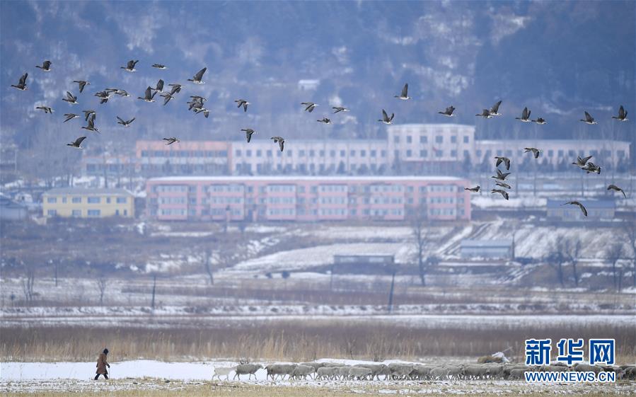 （新華全媒頭條·走向我們的小康生活·圖文互動）（14）黑土地上是我家——在吉林，一瞥中國東北鄉(xiāng)村美麗未來