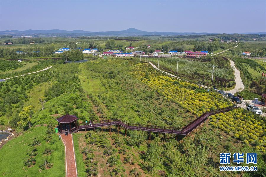 （新華全媒頭條·走向我們的小康生活·圖文互動）（16）黑土地上是我家——在吉林，一瞥中國東北鄉(xiāng)村美麗未來
