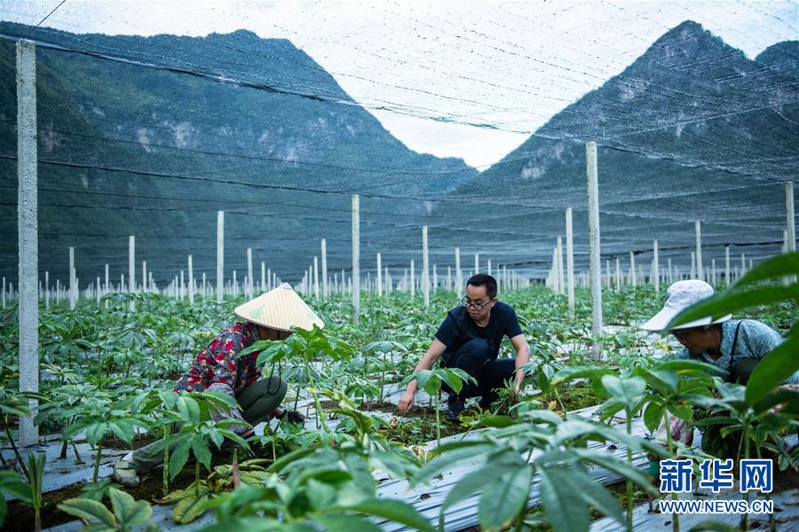 （新華全媒頭條·決戰(zhàn)決勝脫貧攻堅·督戰(zhàn)未摘帽貧困縣·圖文互動）（10）把“最能打的人”放在最需要的地方——聚焦貴州未脫貧縣里的“助攻干部”