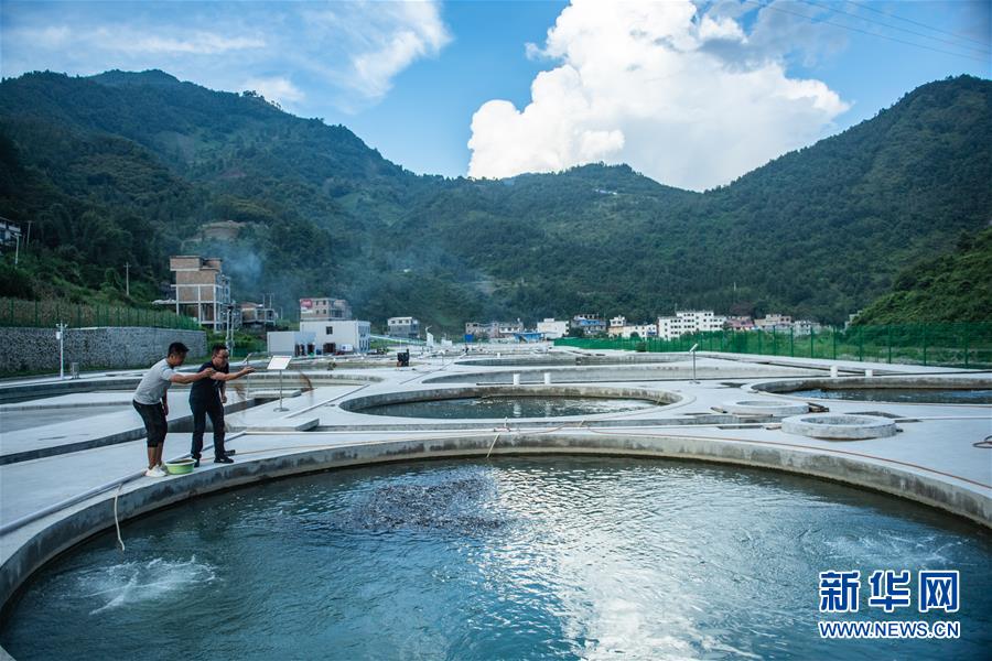 （新華全媒頭條·決戰(zhàn)決勝脫貧攻堅·督戰(zhàn)未摘帽貧困縣·圖文互動）（11）把“最能打的人”放在最需要的地方——聚焦貴州未脫貧縣里的“助攻干部”