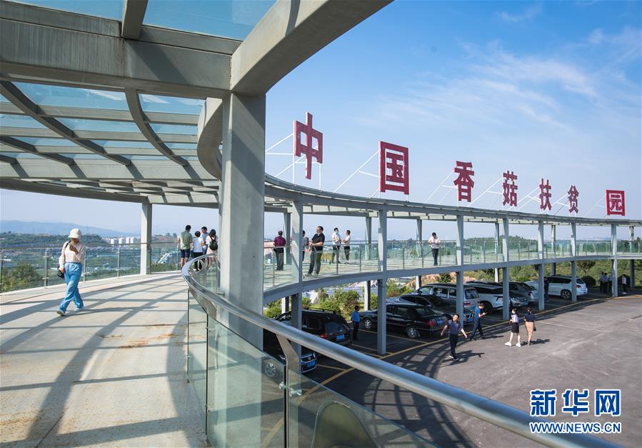 （新華全媒頭條·走向我們的小康生活·圖文互動(dòng)）（2）特殊之年，荊楚大地書(shū)寫(xiě)不平凡的答卷