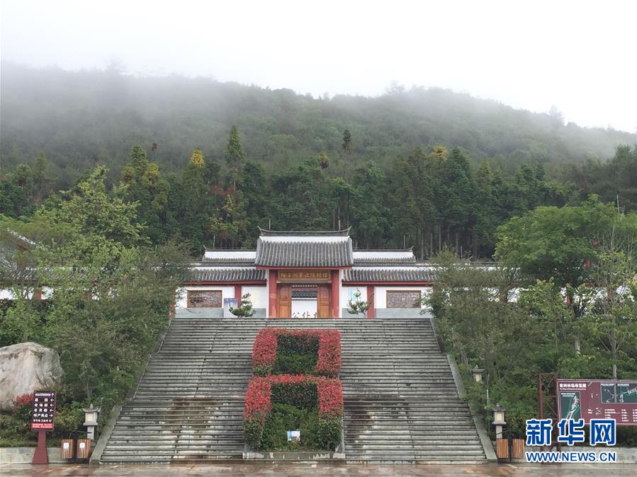 （熱點(diǎn)鮮報(bào)·圖文互動）（5）善洲精神永相傳：留下一片綠洲 造福家鄉(xiāng)百姓
