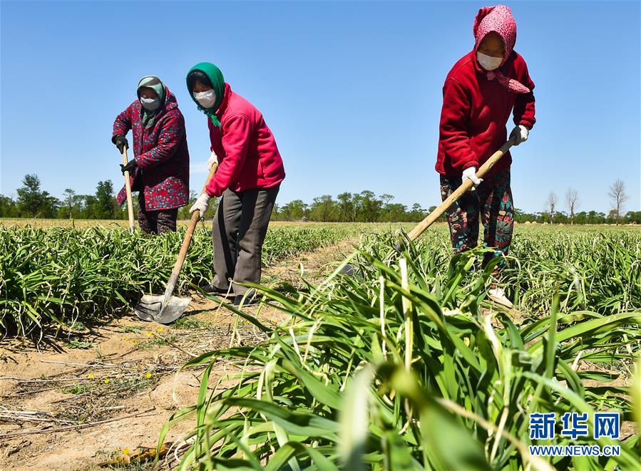 （新華全媒頭條·圖文互動(dòng)）（17）從人民中汲取磅礴力量——習(xí)近平總書記同出席2020年全國(guó)兩會(huì)人大代表、政協(xié)委員共商國(guó)是紀(jì)實(shí)