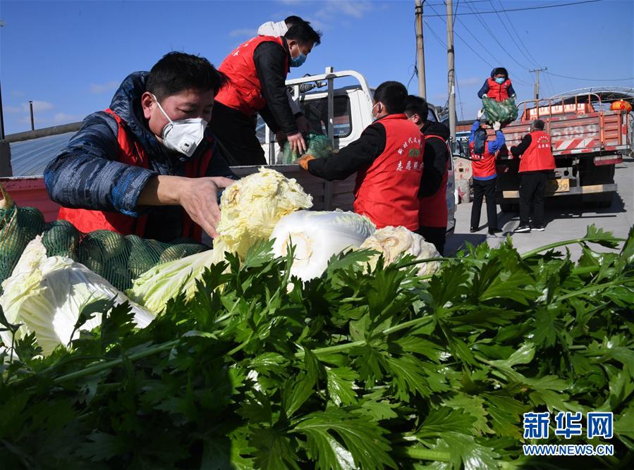 （在習(xí)近平新時(shí)代中國(guó)特色社會(huì)主義思想指引下——新時(shí)代新作為新篇章·習(xí)近平總書(shū)記關(guān)切事·圖文互動(dòng)）（2）“菜籃子”里的力量——全國(guó)各地努力做好保障和改善民生工作在行動(dòng)