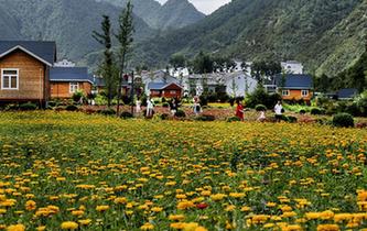 陜西洛南：鮮花木屋惹人醉