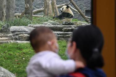 武漢動物園有序恢復(fù)開放