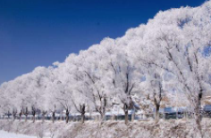 全國初雪時間表出爐 看看你離初雪還有多遠(yuǎn)？