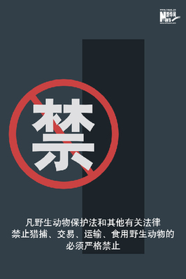 向非法野生動(dòng)物交易、濫食野生動(dòng)物陋習(xí)亮劍